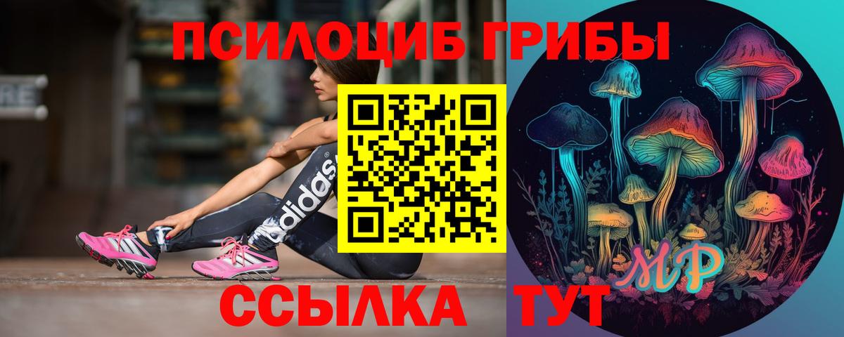 Псилоцибиновые грибы ЛСД Истра