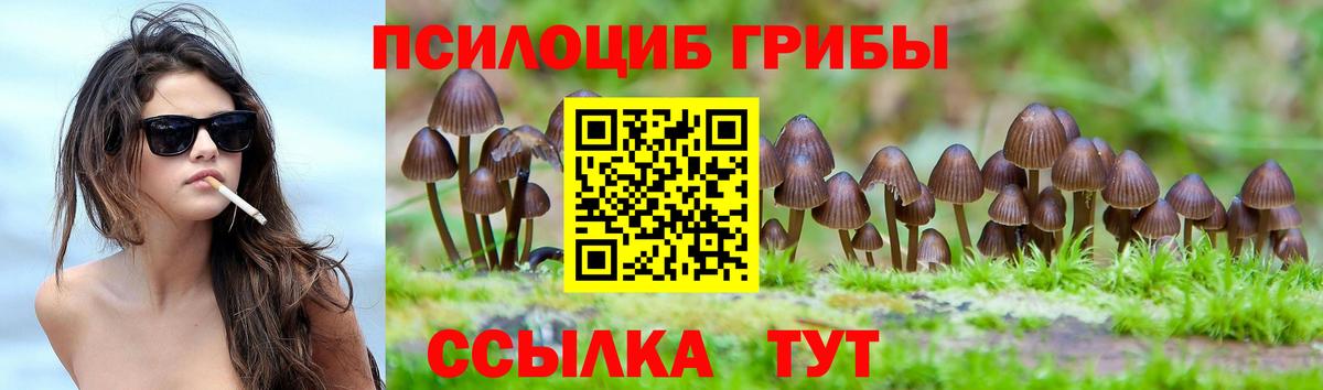 Истра  Галлюциногенные грибы мицелий  Вход с VPN  Галлюциногенные грибы Psilocybe 